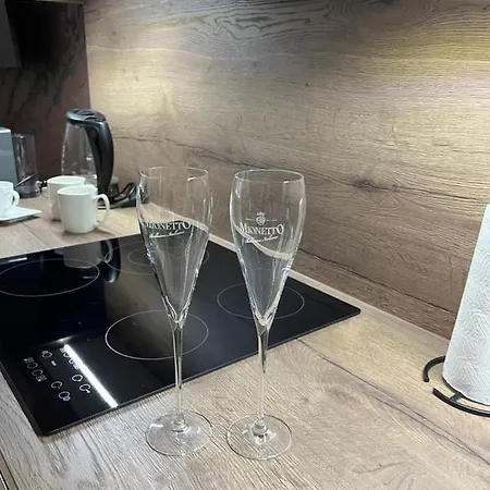 Luxusni Nove Zrekonstruovany Apartman 2kk - 47m2 - Centrum
