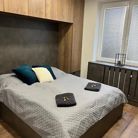 Apartament Luxusni Nove Zrekonstruovany Apartman 2kk - 47m2 - Centrum Ostrawa